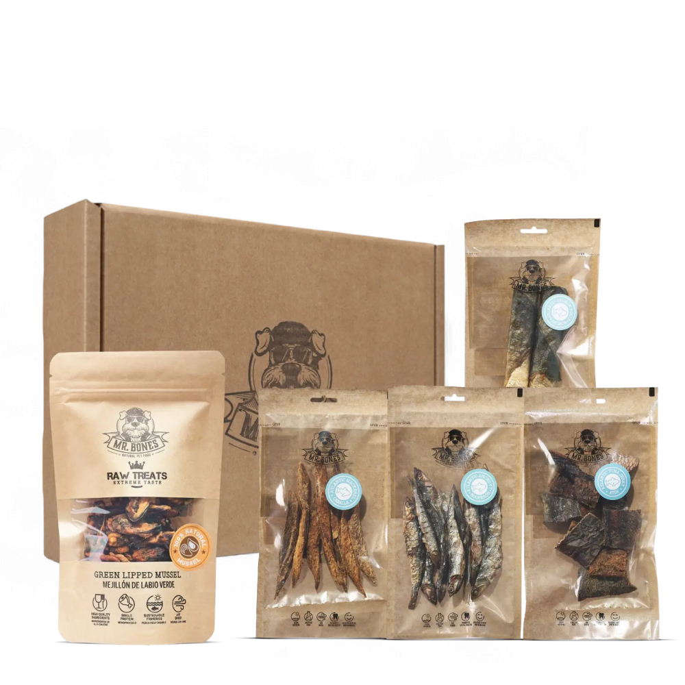 Coffret Chien & Chat - Marines Sea Bones