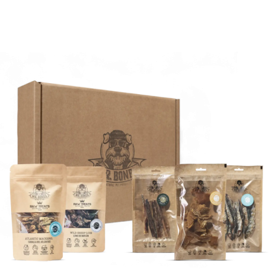 Coffret Chien - Little Bones - Chiens de petite taille