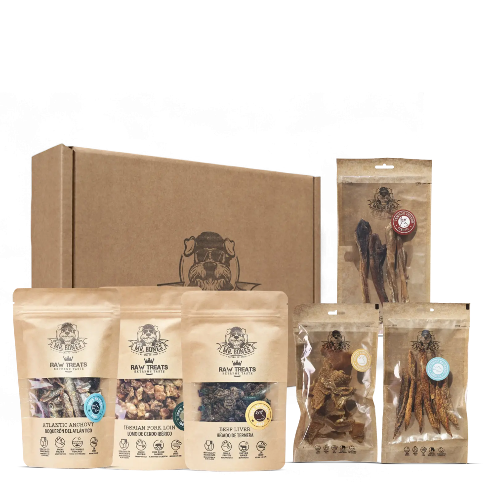 Coffret Chien - Mid Bones - Chiens de taille moyenne
