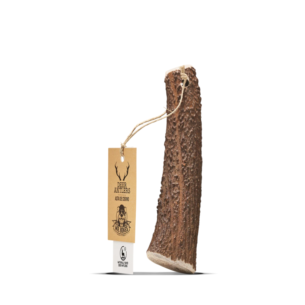 Friandises Chien - Bois de Cerf entier - Snack 100% naturel