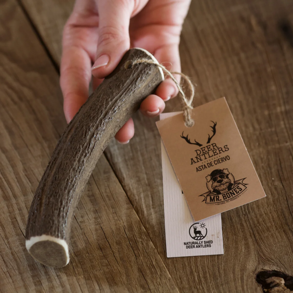 Friandises Chien - Bois de Cerf entier - Snack 100% naturel