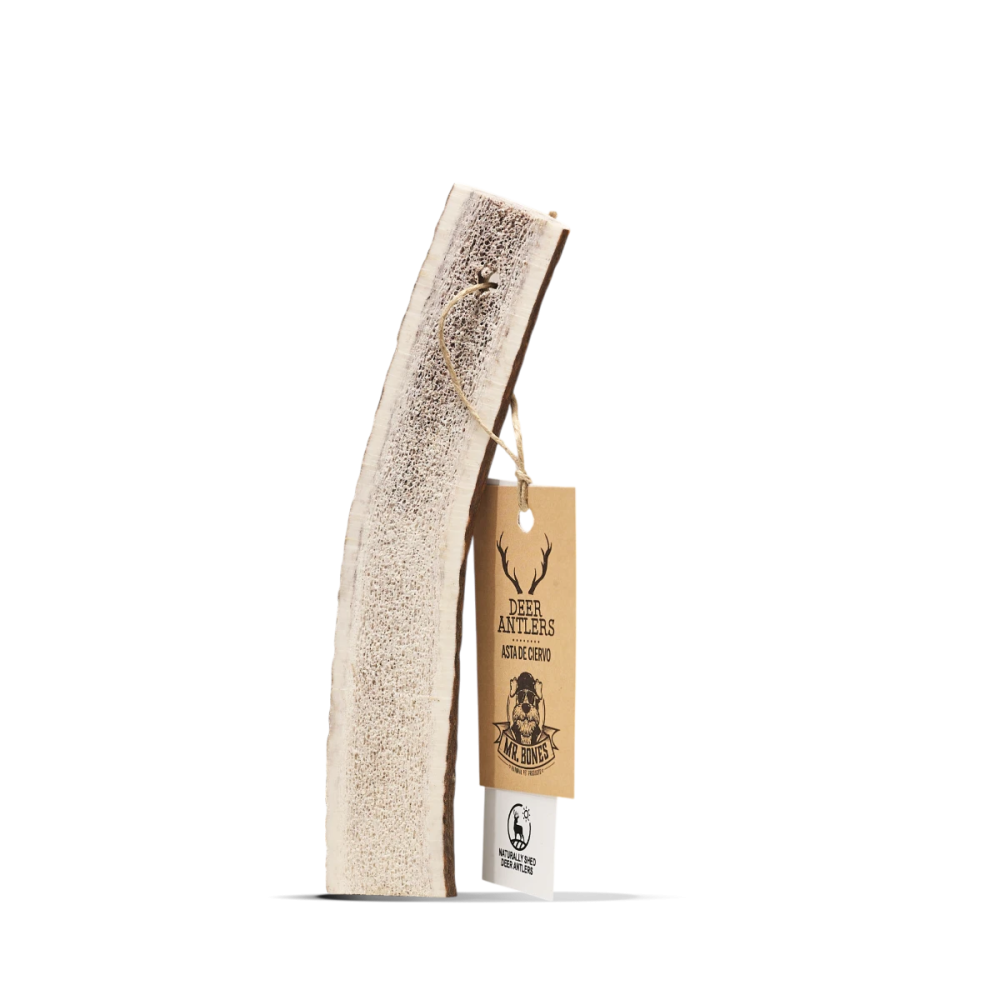 Friandises Chien - Bois de Cerf entier - Snack 100% naturel