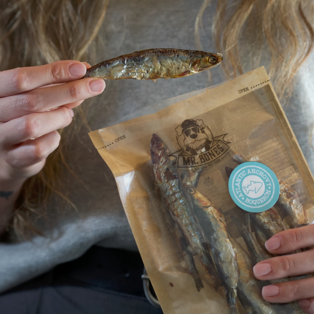 Friandises Chien & Chat - Anchois de l’Atlantique - Snack 100% naturel