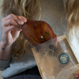 Friandises Chien - Oreille de Porc Ibérique - Snack 100% naturel