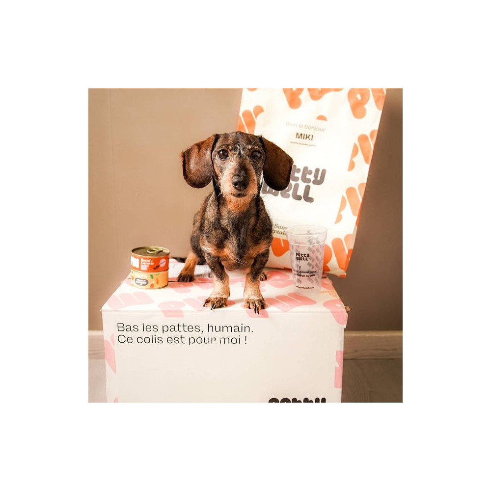 Croquettes Chien - Saumon & Thon - sans céréales