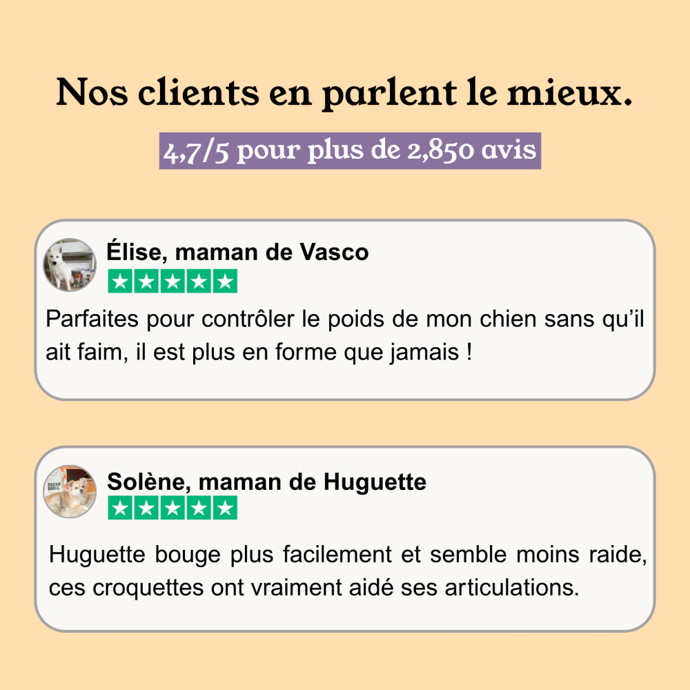 Croquettes Chien Stérilisé Surpoids Ultra light - Poulet -  avec céréales