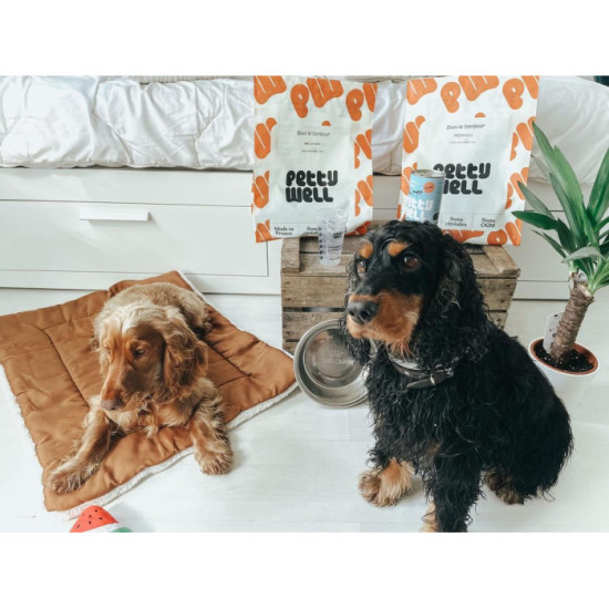 Croquettes Chien Stérilisé Surpoids Ultra light - Poulet -  avec céréales