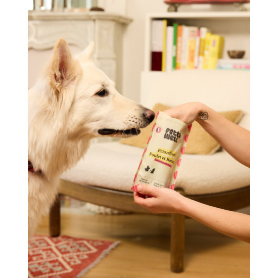 Friandises Chien - Poulet & Romarin - Coussins Fourrés