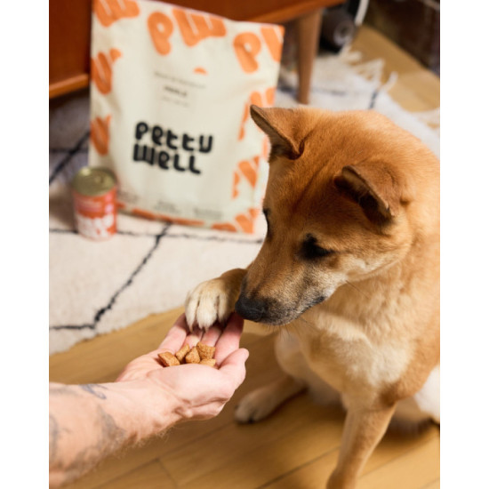 Friandises Chien - Poulet & Romarin - Coussins Fourrés