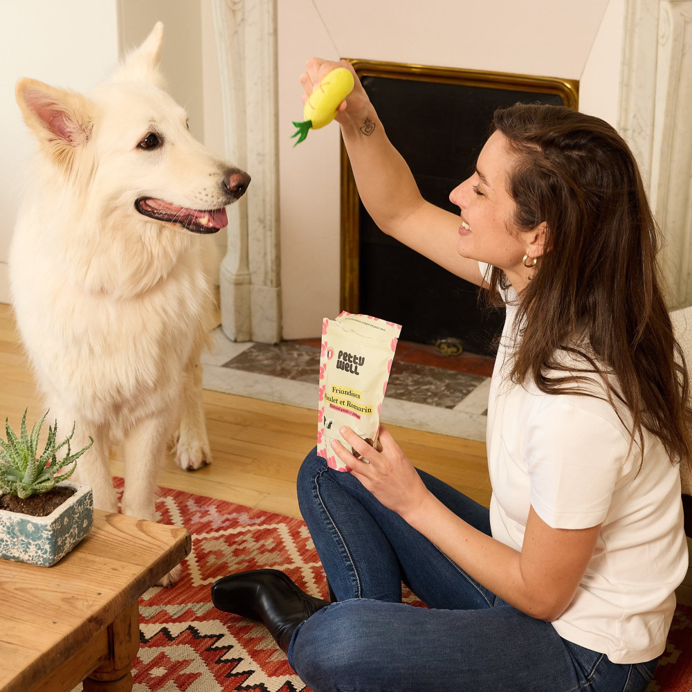 Friandises Chien - Poulet & Romarin - Coussins Fourrés