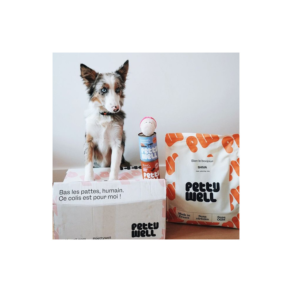 Croquettes Chiot - Saumon & Thon - sans céréales