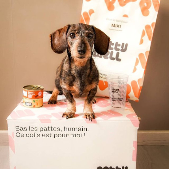 Croquettes Chiot - Saumon & Thon - sans céréales