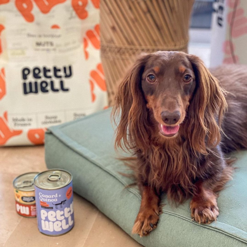 Croquettes Chien Digestion Sensible - Poulet - sans céréales