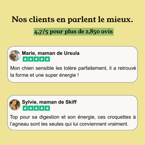 Croquettes Chien Digestion Sensible - Agneau - avec céréales