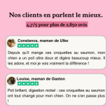 Croquettes Chien Digestion Sensible - Saumon & Thon - sans céréales