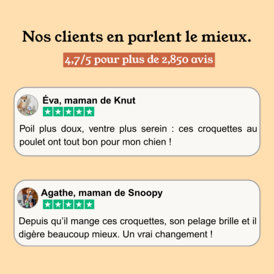 Chiot de grande taille - croquette saveur poulet (25kg+)