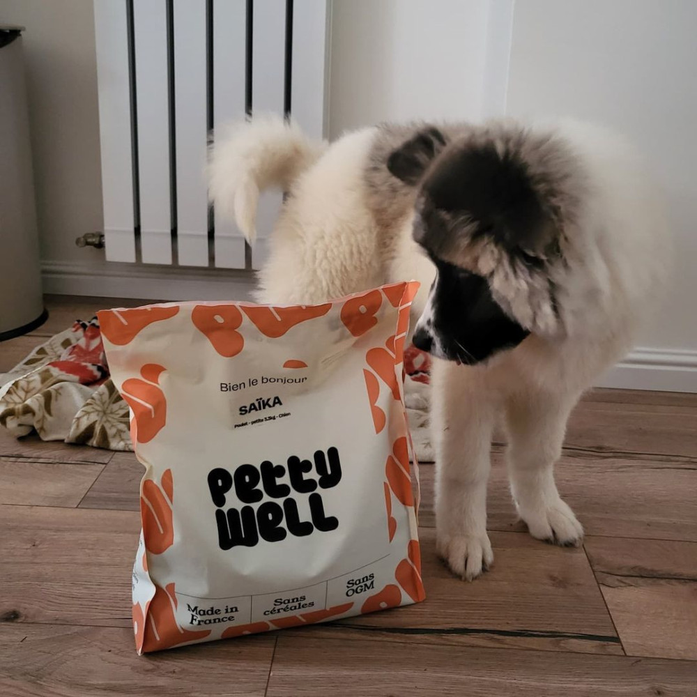 Chiot de grande taille - croquette saveur poulet (25kg+)