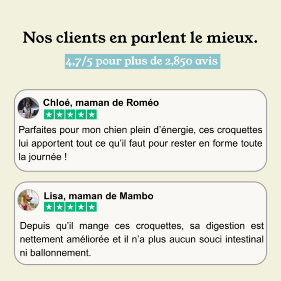 Croquettes Chien Actif - Poulet - avec céréales