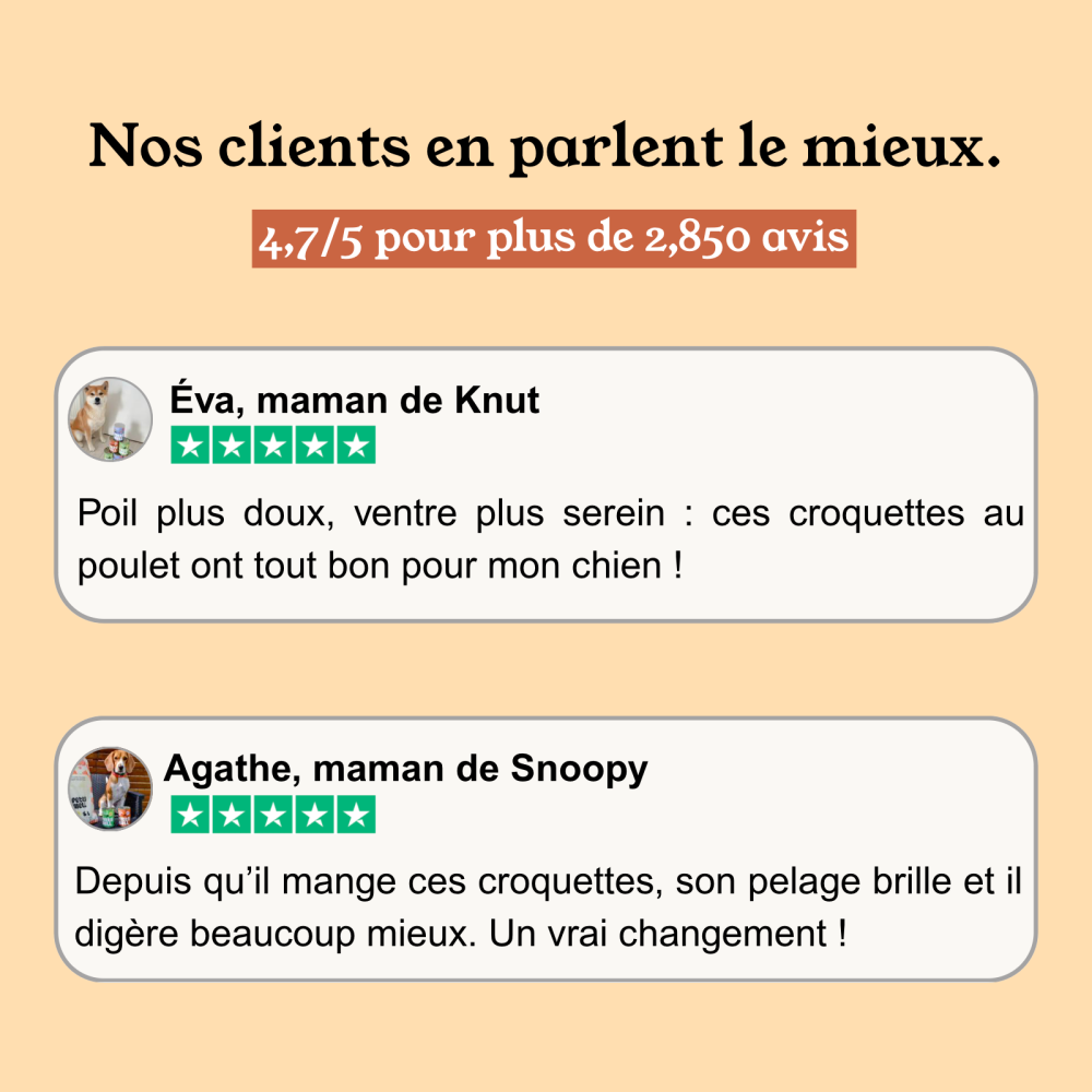 Croquettes Chien - Poulet - sans céréales - PACK 20KG