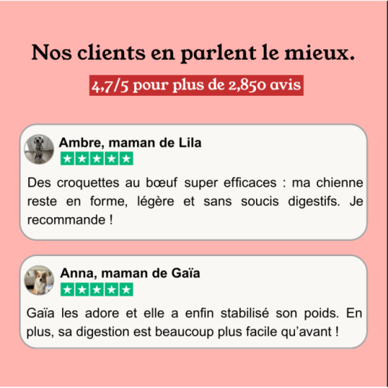 Croquettes Chien - Boeuf & Volaille - avec céréales - PACK 20KG