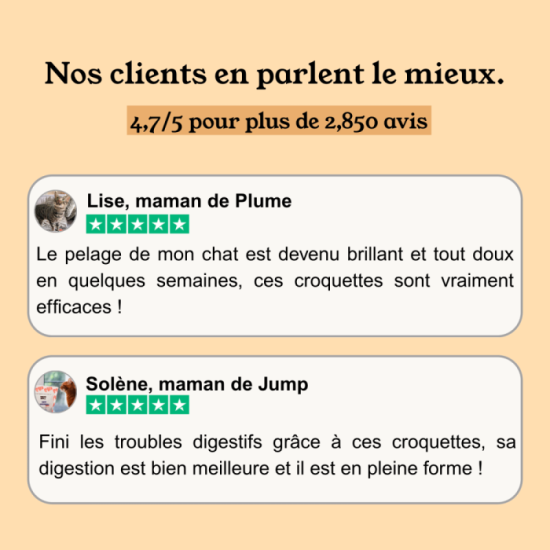 Poulet Dinde Chat Sans Céréales Ajoutées