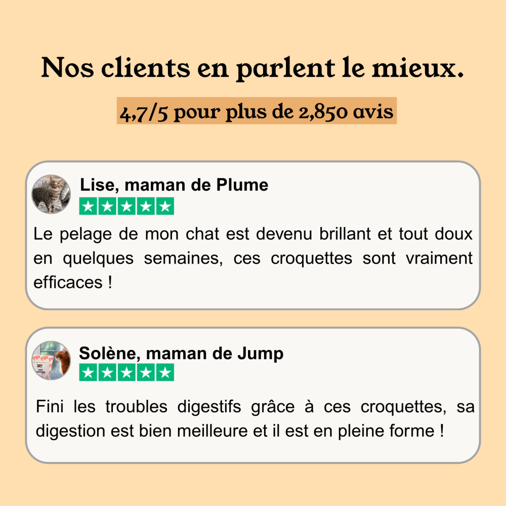 Poulet Dinde Chat Sans Céréales Ajoutées