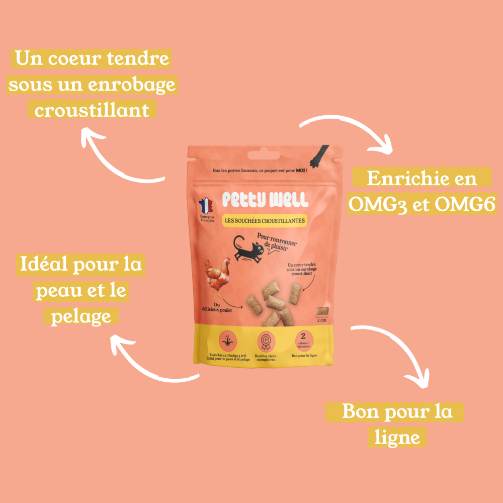 Friandises Chat - Poulet - Coussins Fourrés