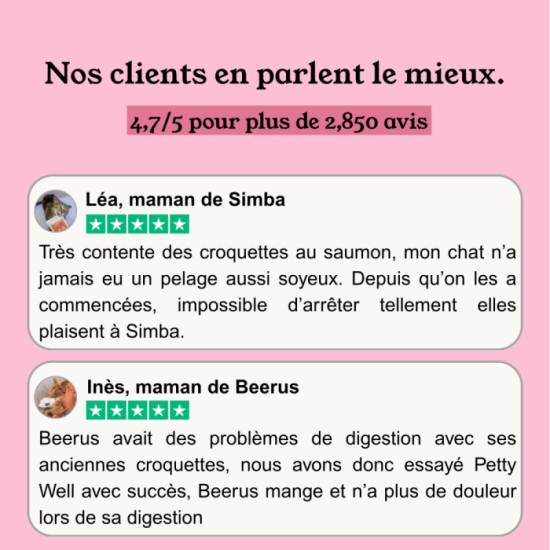 Croquettes Chaton - Saumon & Thon - sans céréales