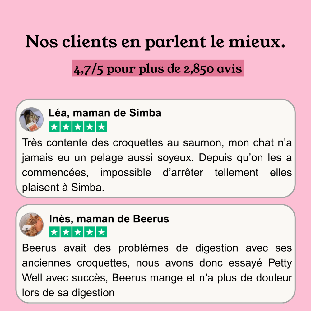 Croquettes Chaton - Saumon & Thon - sans céréales