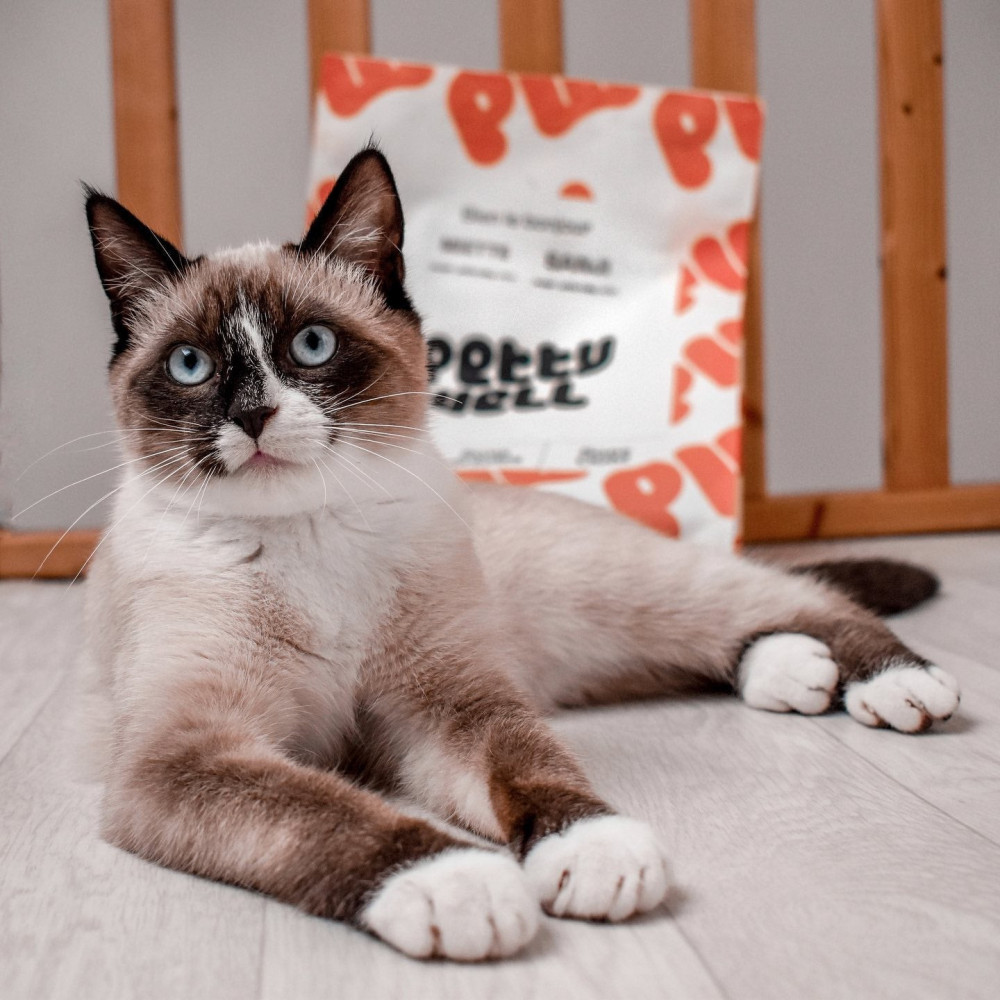 Croquettes Chat Light & Urinary - Poulet - avec céréales - PACK 10KG