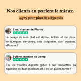 Croquettes Chaton - Poulet & Dinde - sans céréales