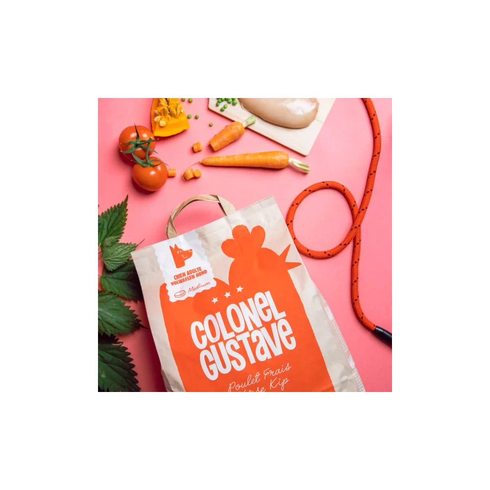 Croquettes Moyen & Grand Chien - Poulet - sans céréales