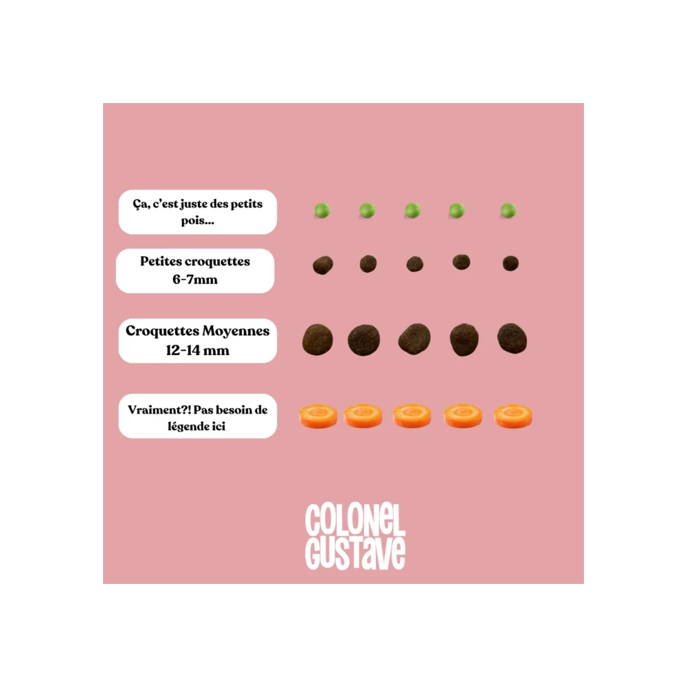 Croquettes Moyen & Grand Chien - Poulet - sans céréales