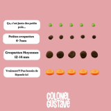 Croquettes Moyen & Grand Chien - Poulet - sans céréales