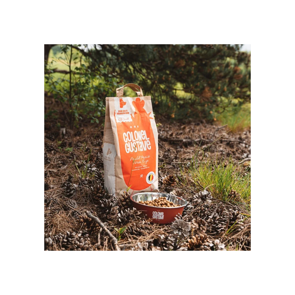 Croquettes Moyen & Grand Chien - Poulet - sans céréales