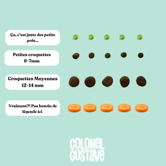 Croquettes Moyen & Grand Chien - Porc - sans céréales