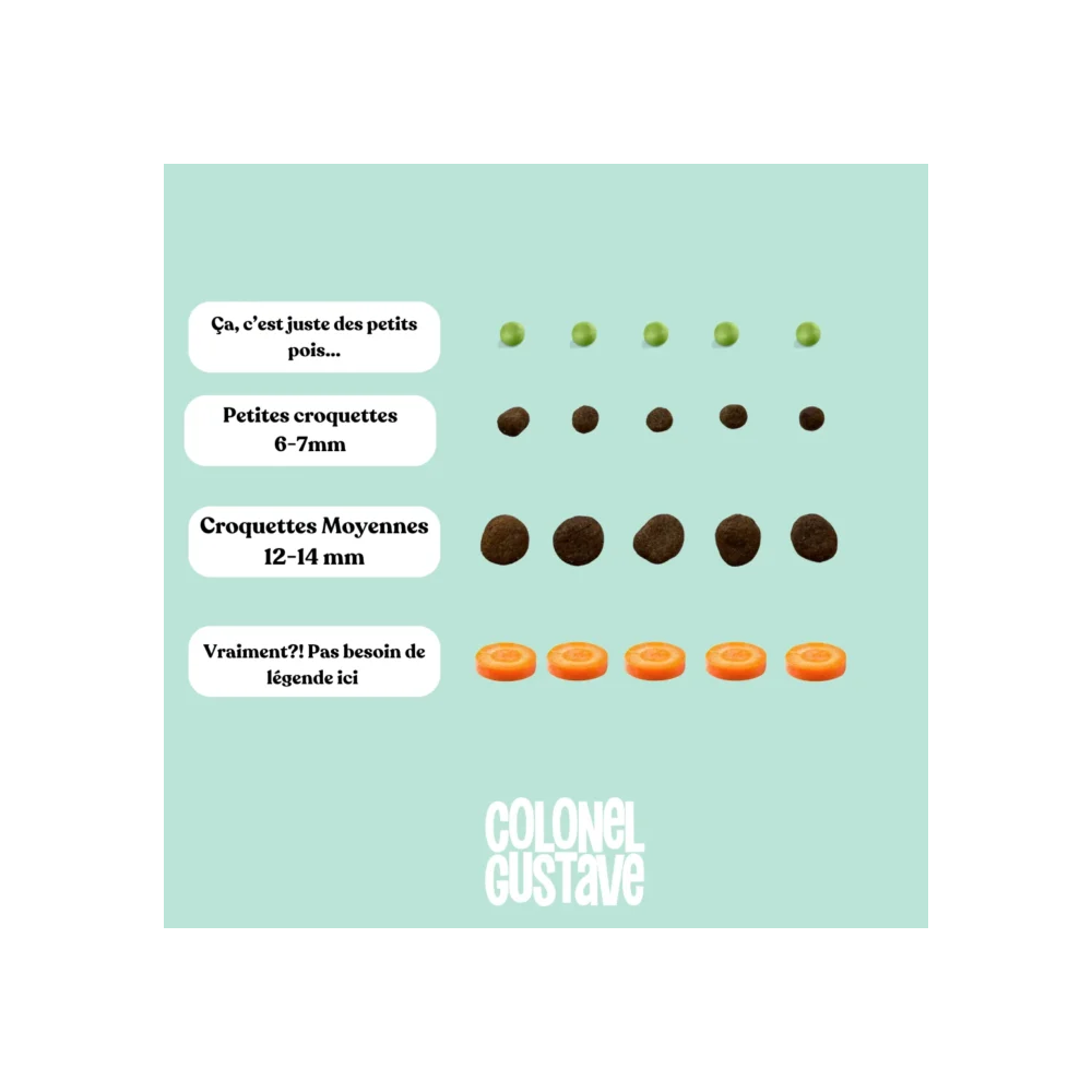 Croquettes Moyen & Grand Chien - Porc - sans céréales