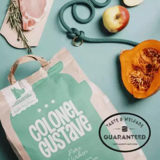 Croquettes Moyen & Grand Chien - Porc - sans céréales