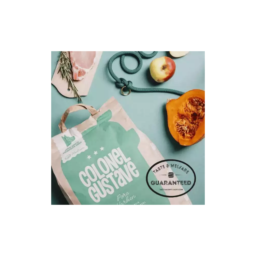 Croquettes Moyen & Grand Chien - Porc - sans céréales