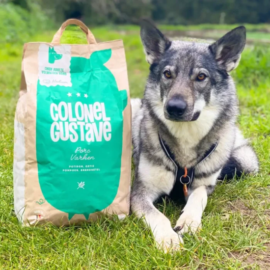 Croquettes Moyen & Grand Chien - Porc - sans céréales