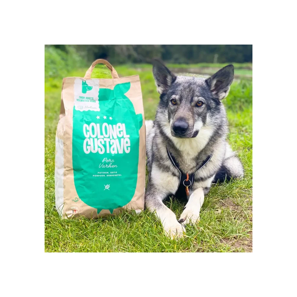 Croquettes Moyen & Grand Chien - Porc - sans céréales