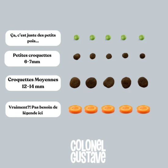 Croquettes Chien Stérilisé Light - Poulet - sans céréales