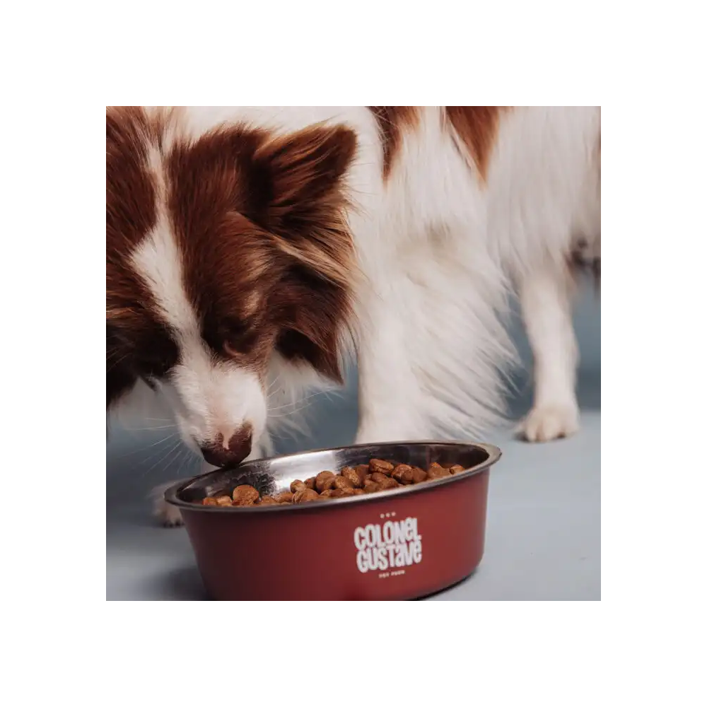 Croquettes Chien Stérilisé Light - Poulet - sans céréales