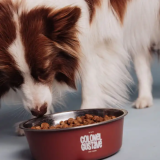 Croquettes Chien Stérilisé Light - Poulet - sans céréales