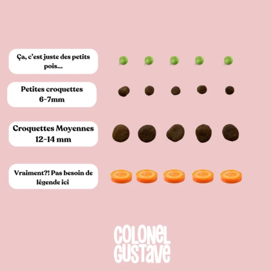 Croquettes Petit Chien - Poulet - sans céréales