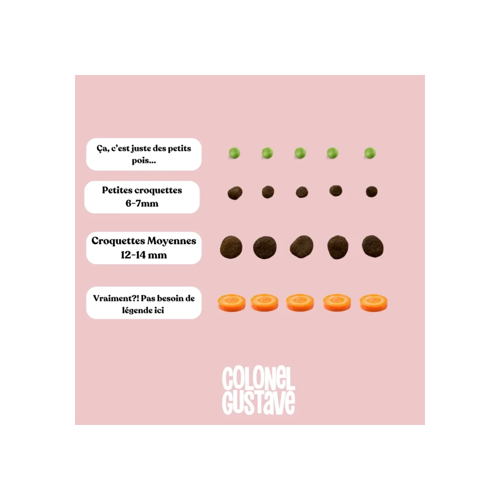 Croquettes Petit Chien - Poulet - sans céréales