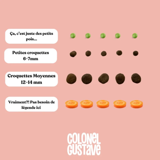 Croquettes Chiot - Poulet - sans céréales