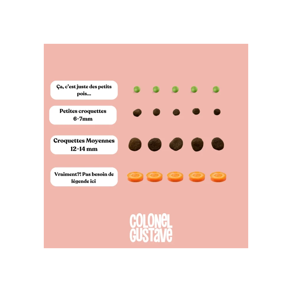 Croquettes Chiot - Poulet - sans céréales