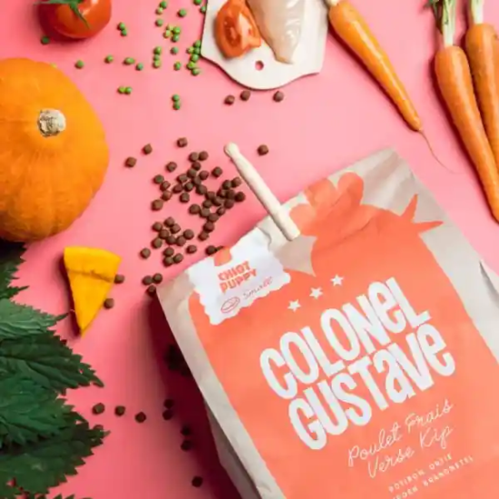 Croquettes Chiot - Poulet - sans céréales