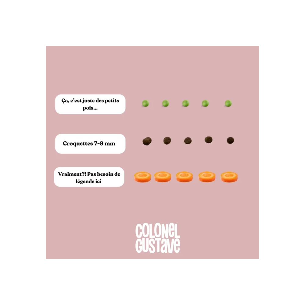 Croquettes Chat - Poulet - sans céréales